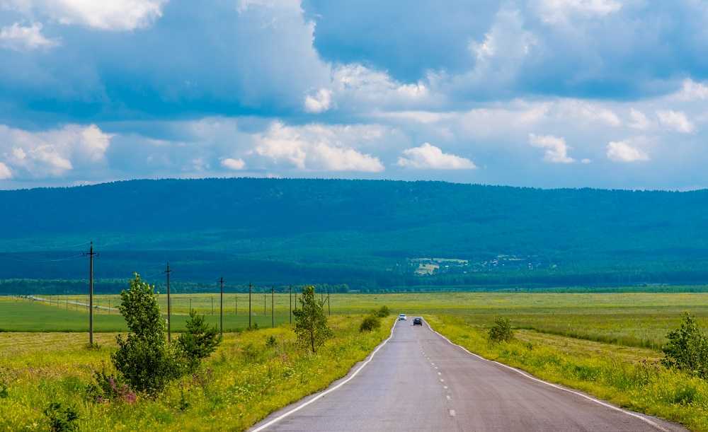 Сорняки южного урала фото с названиями